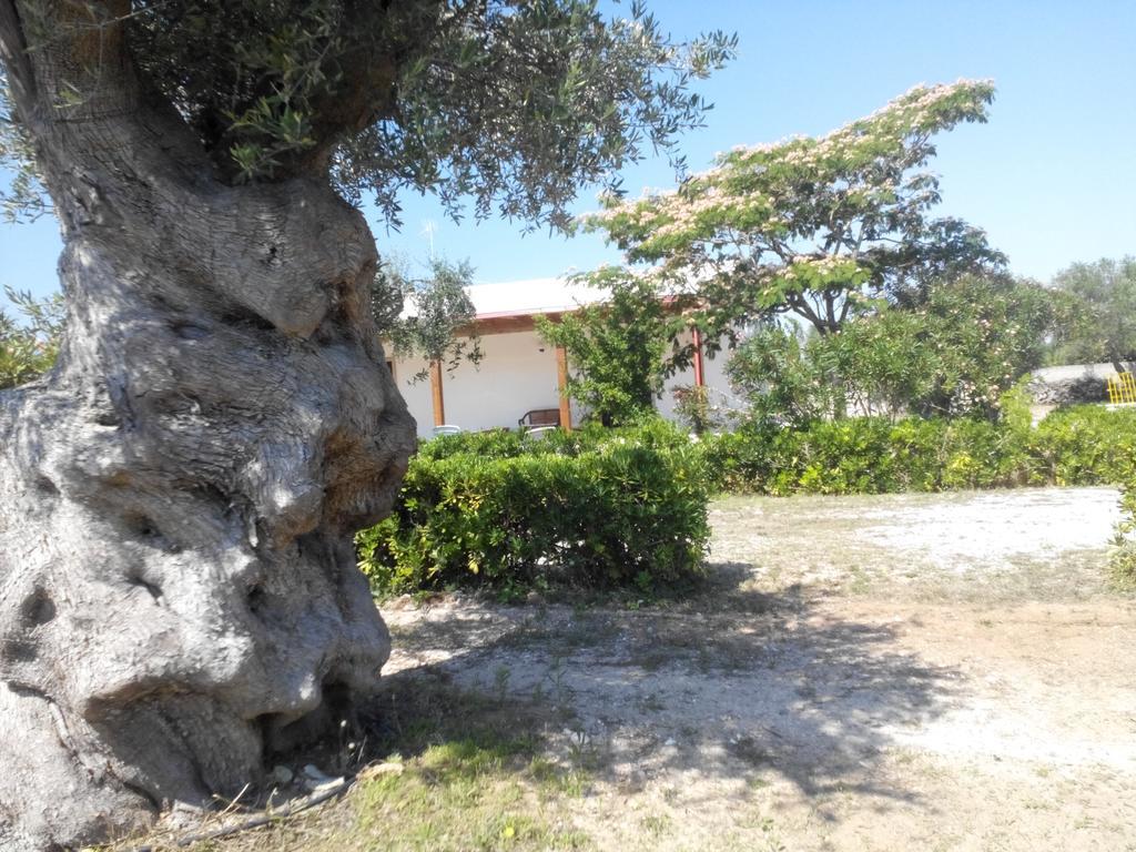 Agriturismo Villa Tommaso Torre dell'Orso Dış mekan fotoğraf